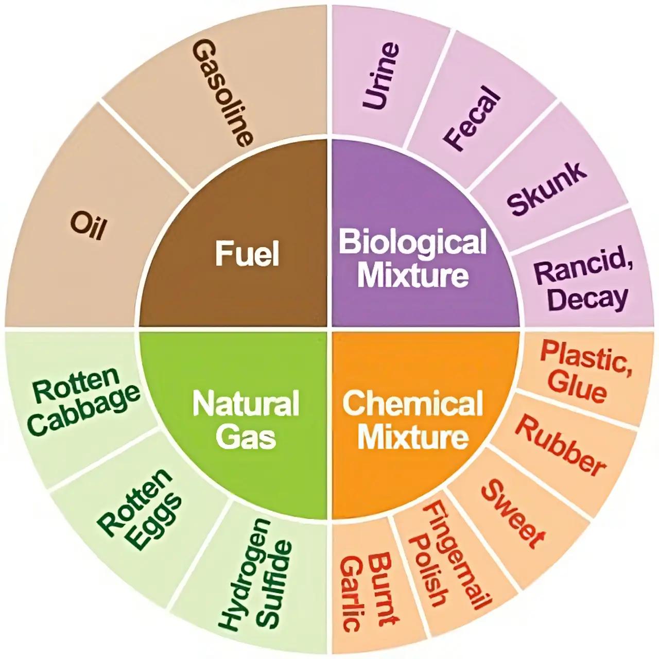 picture of odor wheel